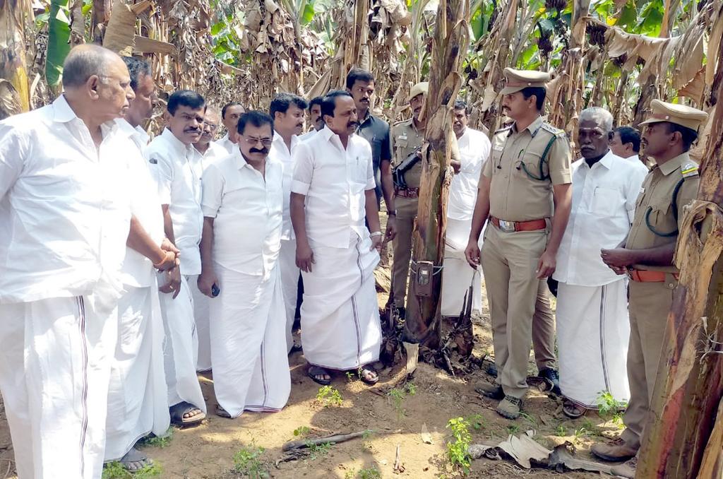Minister searches for "leopard" in forest
