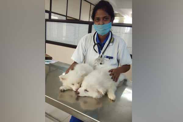 It should be considered a privilege to study about Veterinary says Oviya