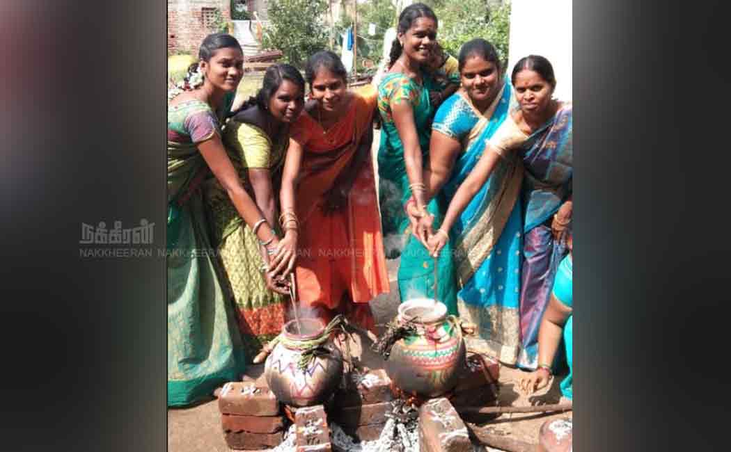 pongal celebrations at cuddalore