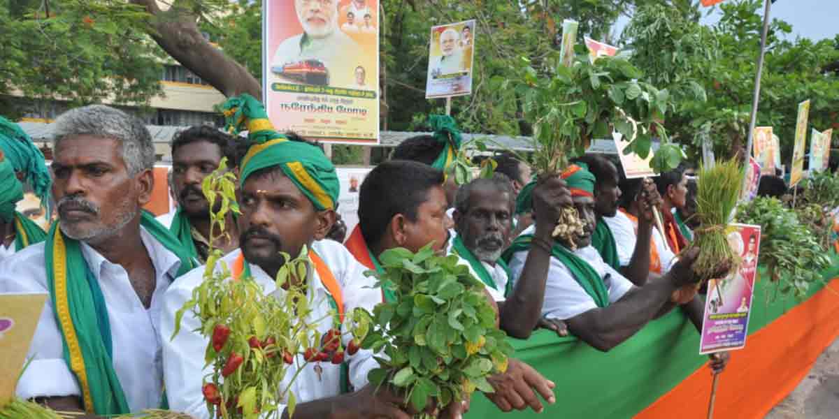 Welcome to Modi ... AIADMK flags that do not catch the eye!