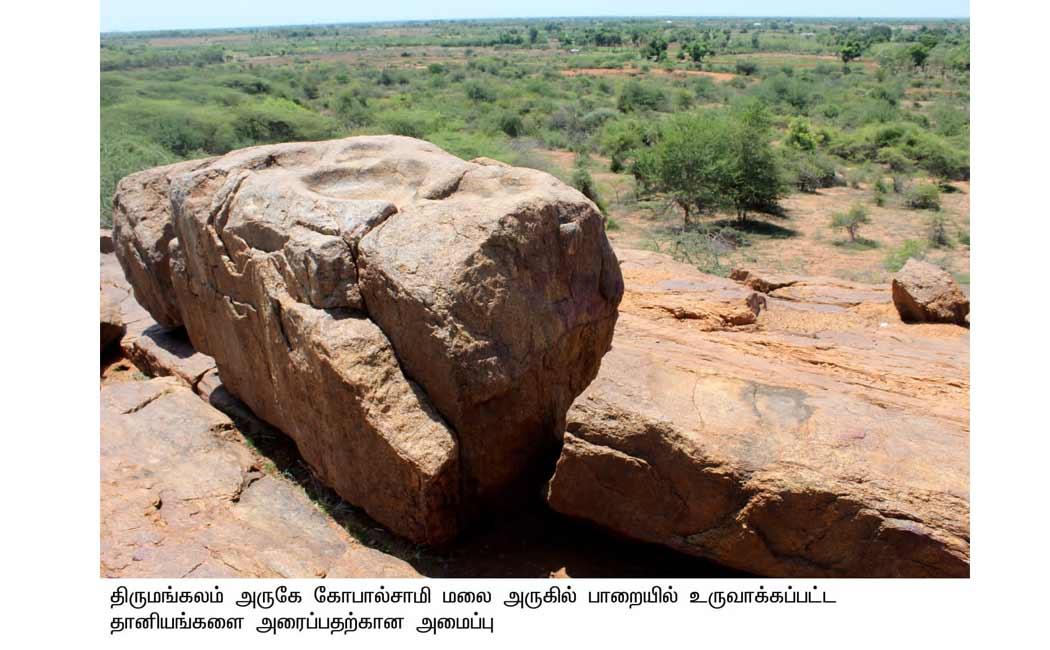 8,000-year-old grain-grinding stone discovered