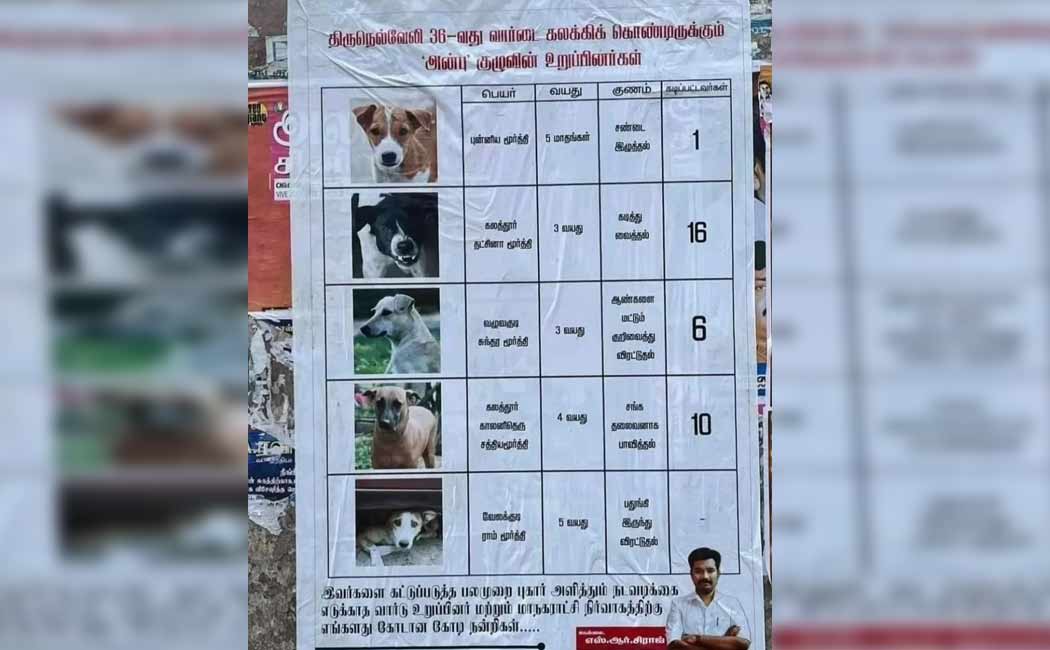 poster has been put up in Tirunelveli asking to control the stray dogs