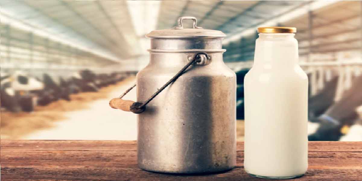 Sale of adulterated milk?-Tuticorin District Collector personally inspected