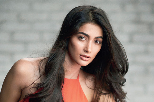 pooja hegde to act in kanchana 4