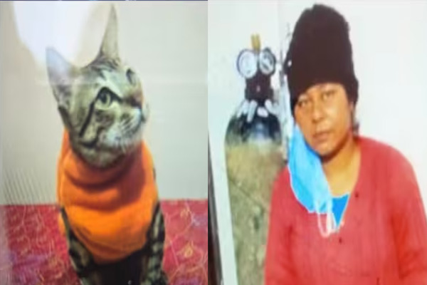 A woman committed by heartbroken after her pet cat passed away in uttar pradesh