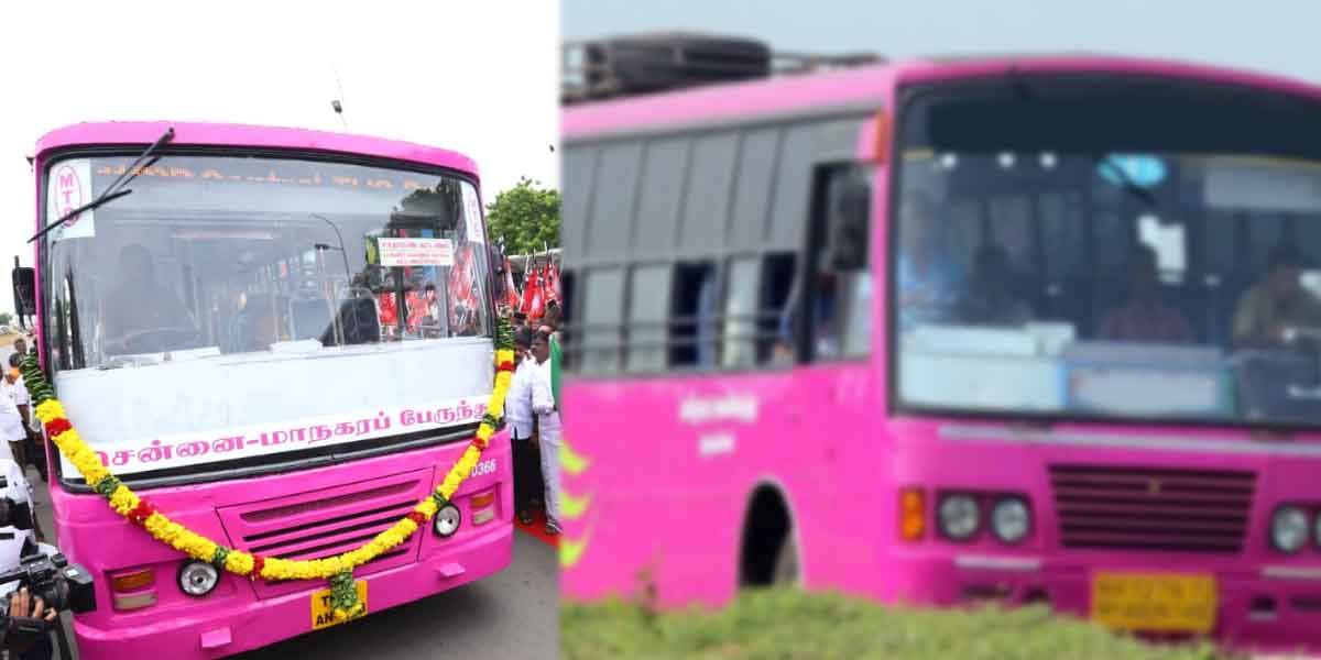 Ordinary fare buses will turn pink!