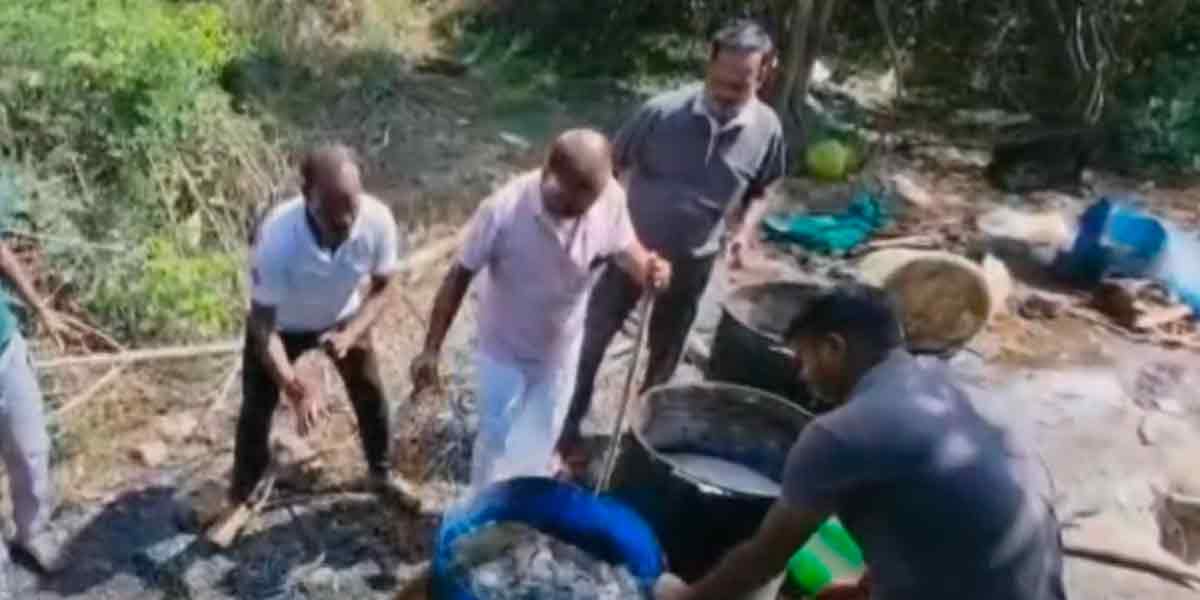 Public complaint; 4,800 for eradication of adulterated liquor