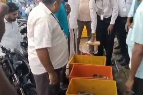 officials take action for Poor fish confiscation