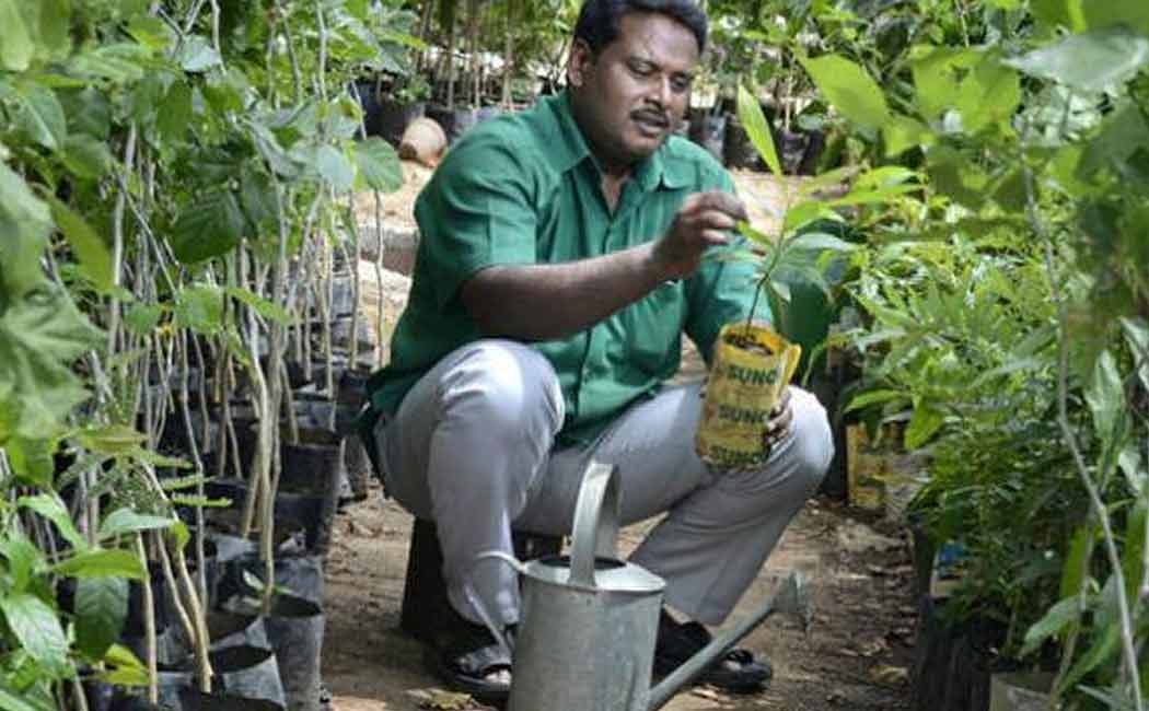 tree man mullaivanam