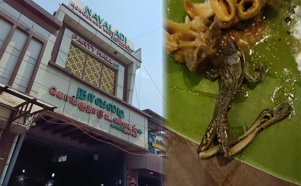 Customer shocked after food at Poonamallee restaurant contains frog