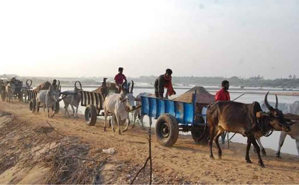 ‘We will engage in road blockade on the sixth date’ - Sand Cattle Workers Announcement