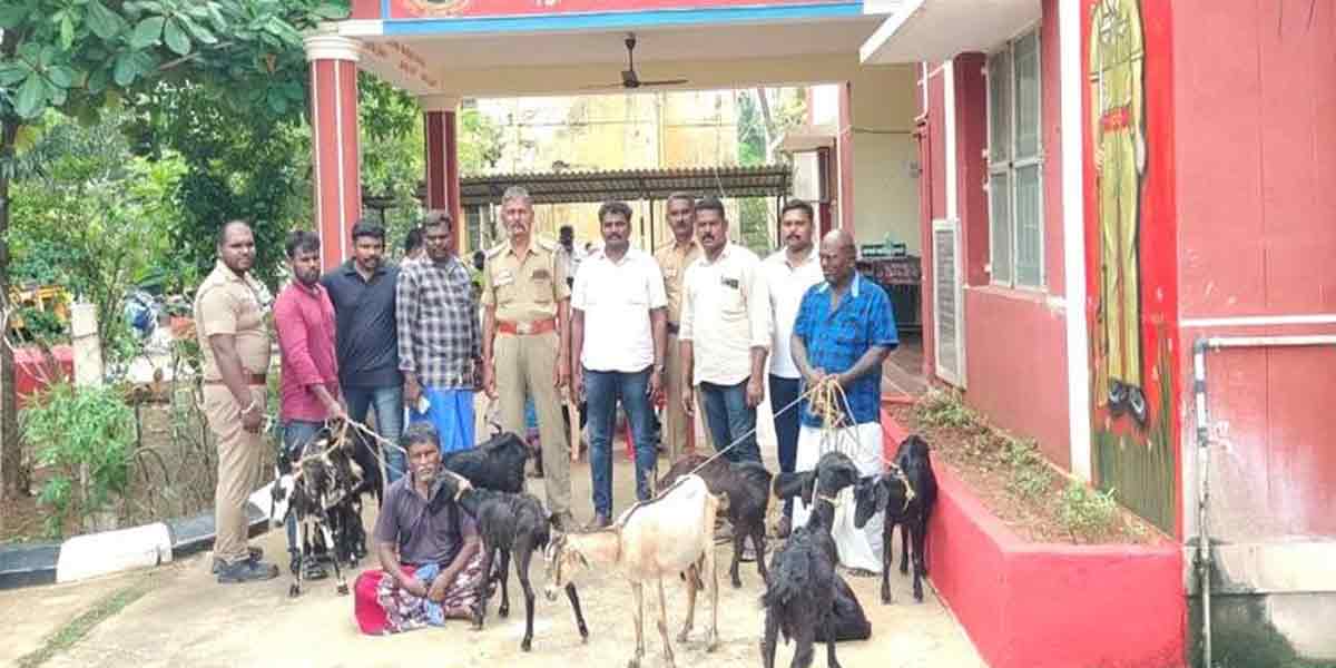 The police who lifted the goat thieves ...!