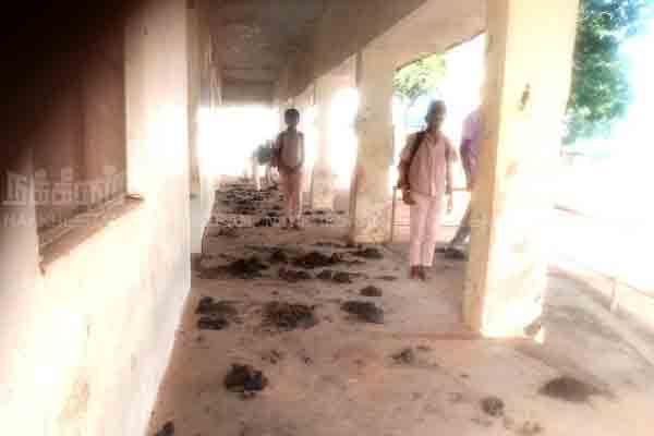 Students are suffering because of cowshed in government school