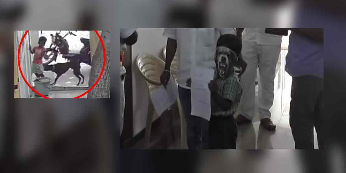 The boy who petitioned the collector!