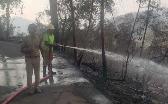     Fire in Kodaikanal Forest; Struggle to turn off for 9 days!