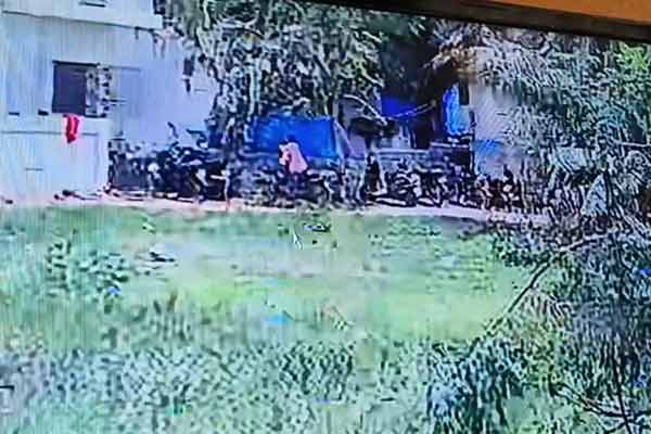 Man steals two-wheeler at bull-riding festival