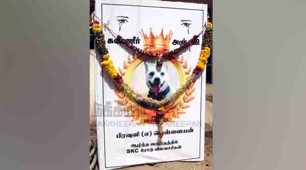 dog -erode -