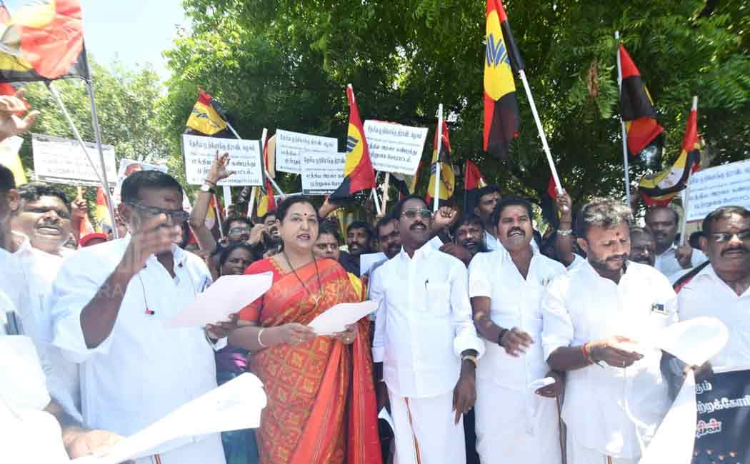 DMDK protest against central government (pictures)