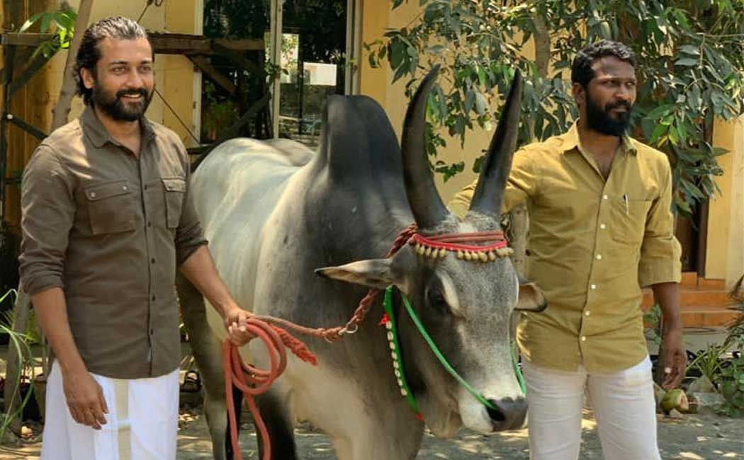 producer thanu explain about vaadivaasal rumour