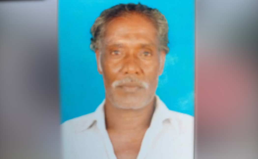 One person passed away in a wasp sting near Chengalpattu.