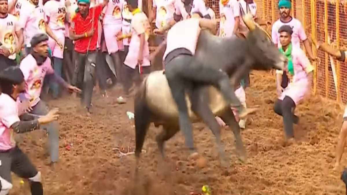 Avaniyapuram Jallikattu; 11 people were injured