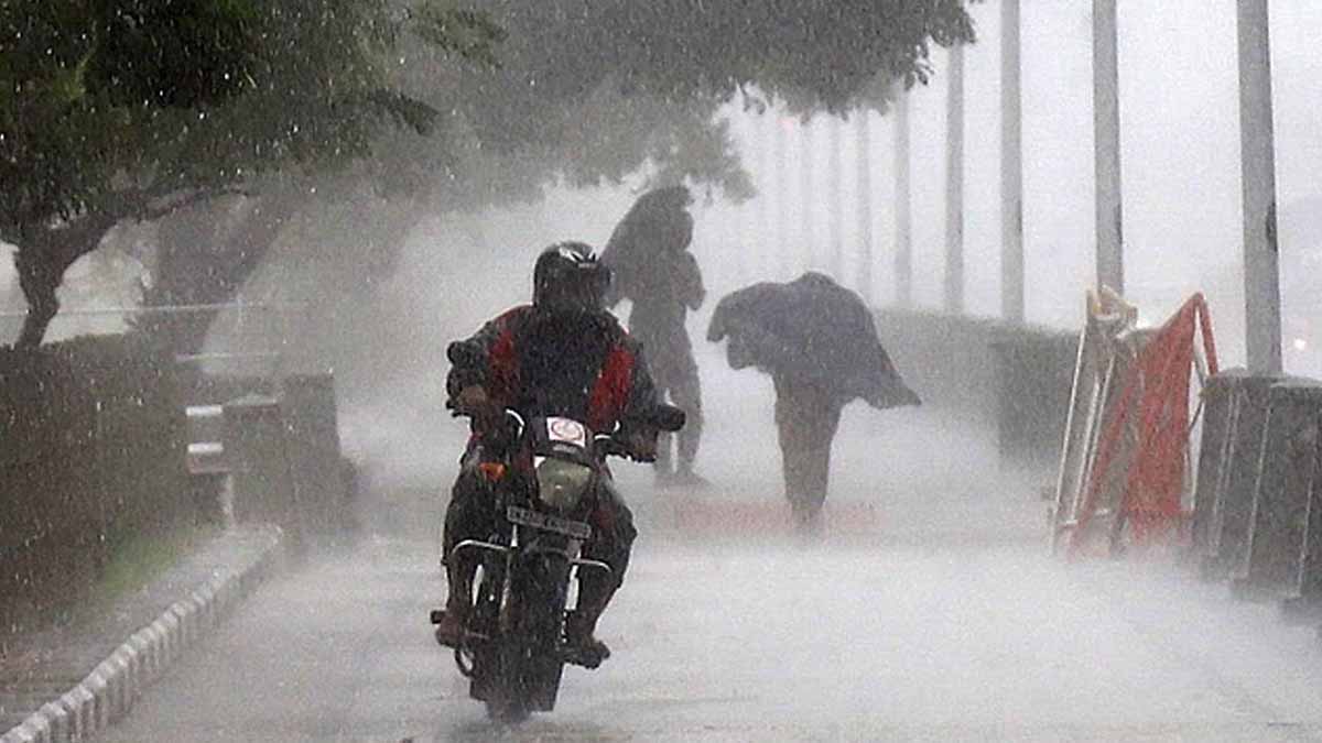 'Cool even in summer' - Rain alert for 9 districts