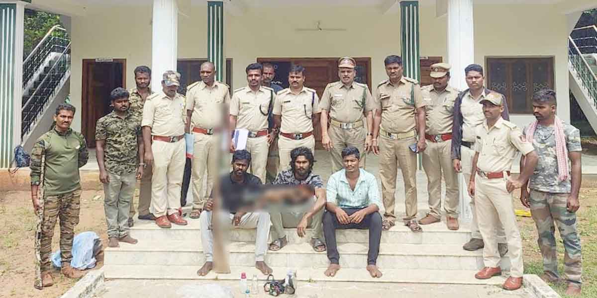 3 people, including a doctor, were arrested for roaming in the forest in the middle of the night; Two guns confiscated!