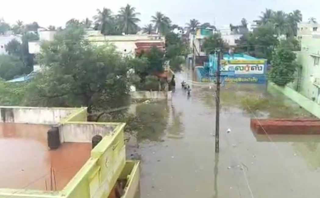 Crops submerged by rain floods! Impact on natural life in Cuddalore!