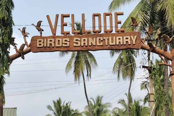 Villagers celebrate Diwali without bursting crackers in Erode