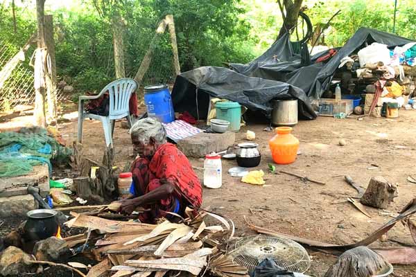 life of 3 girls living under a tree without a home