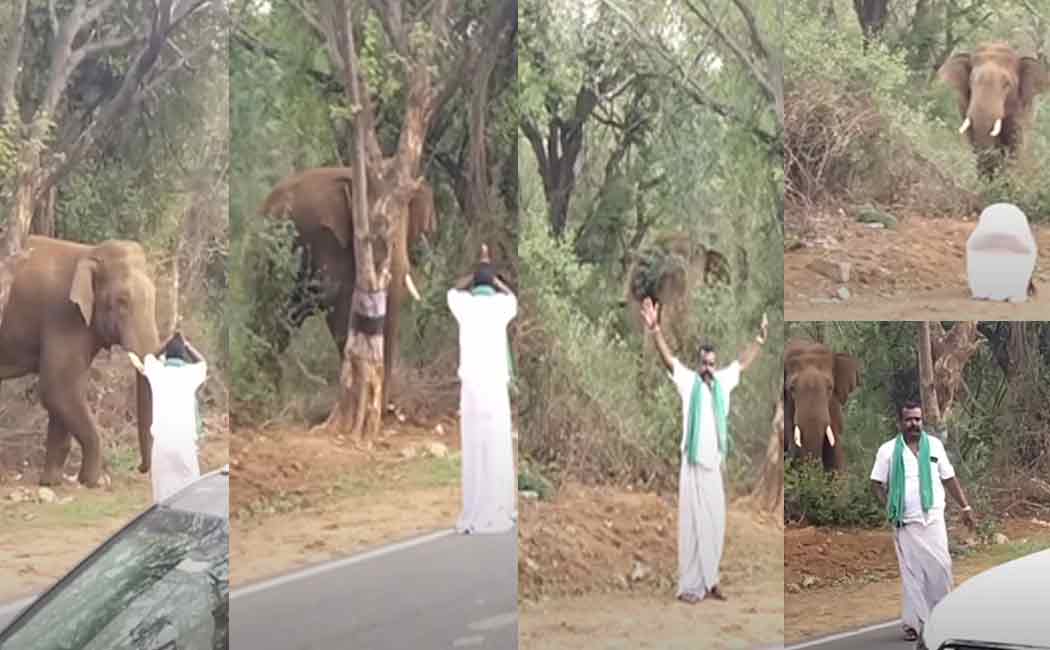 'Appane Anai Mukhathane...' The pious mustached man in front of the wild elephant