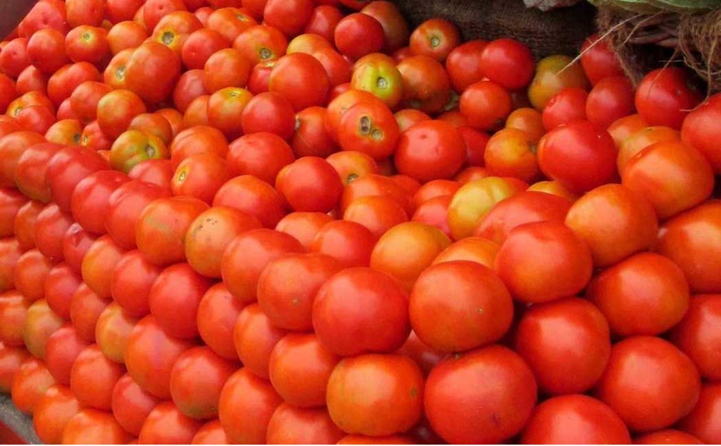 Ready to sell a kilo of tomatoes for Rs. Merchants Association Information in the High Court!