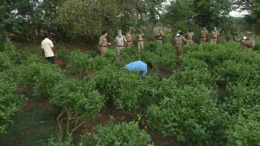 Cell phone disaster... Incident in thiruchy