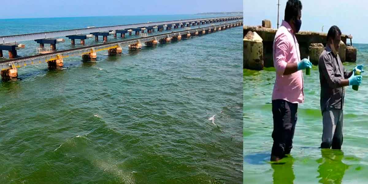 The fishermen were shocked as the sea turned green