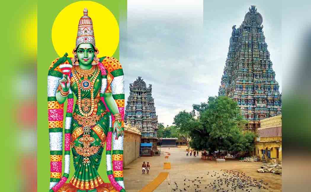 Meenakshiyamman Thirumeni touched and decorated by women