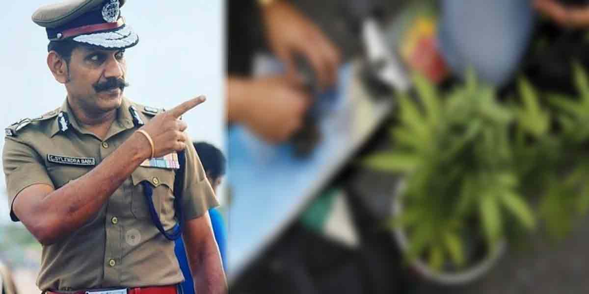 , Kundas if cannabis is sold' - Operation Cannabis 2.0