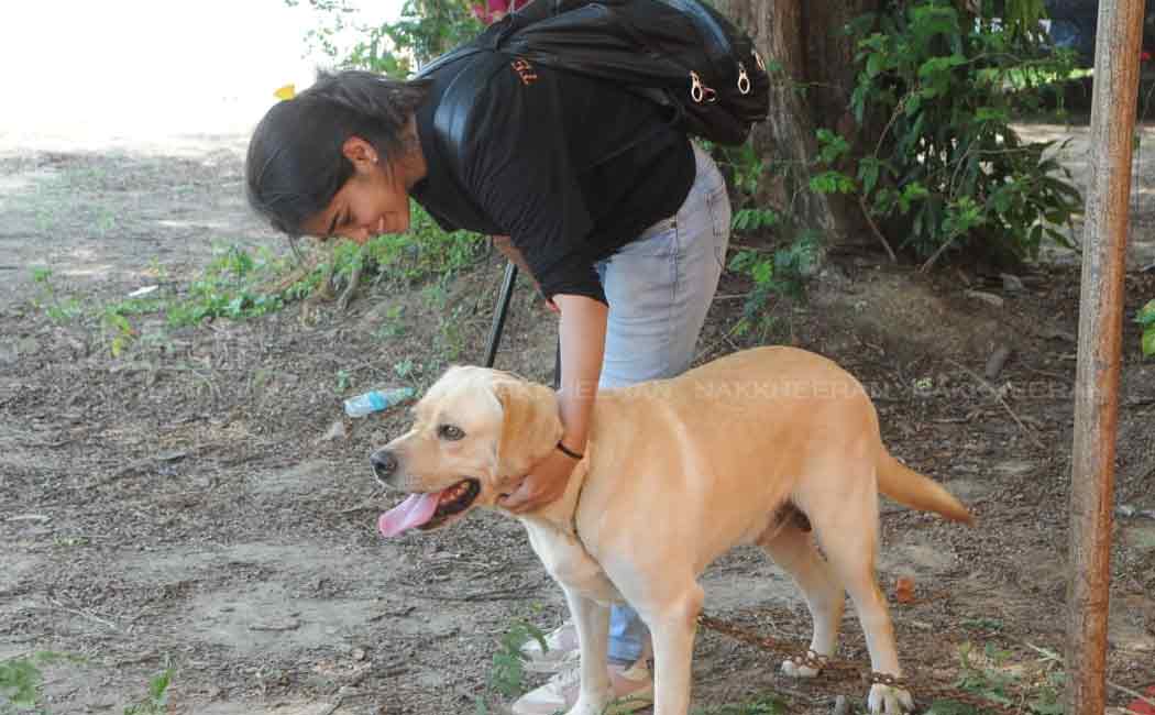 pet and dog show in chennai nandanam ymca ground