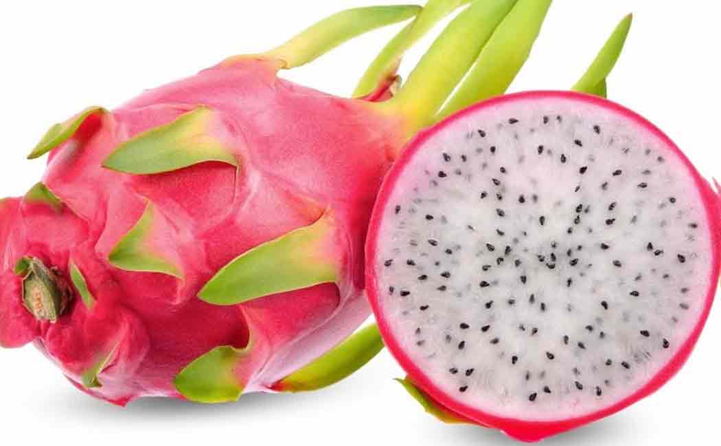 gujarat government renames dragon fruit as kamalam