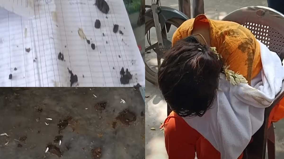 'Cow dung thrown on female VAO'-attack caused by dismissal