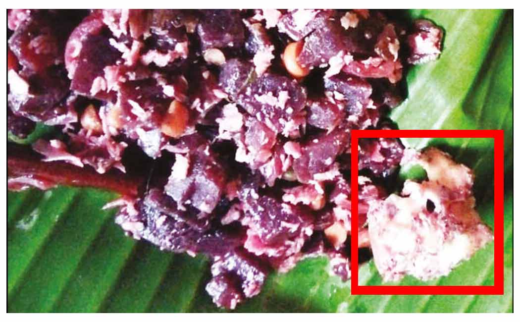 A rat's head in a beetroot; A shocking incident happened to a vegetarian