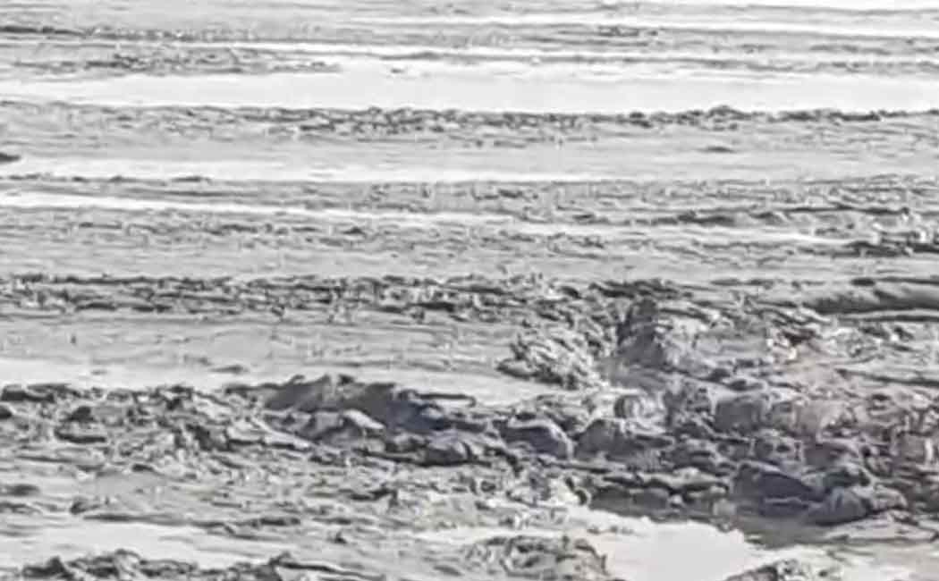 Nagapattinam Vedarnaiyam fishermen had trouble