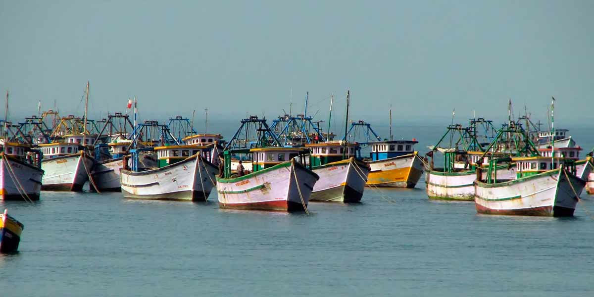 21 Tamil Nadu fishermen arrested; Continued atrocities