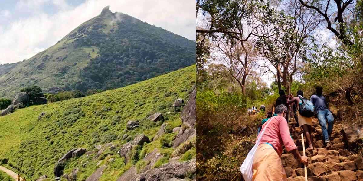 'No one should come to Velliangiri for mountain climbing' - Forest department announcement