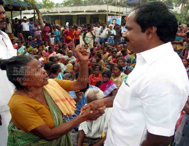 mla