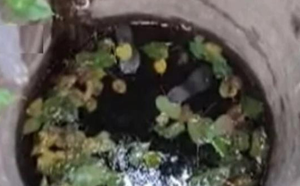 old woman who fell into a 100 feet well