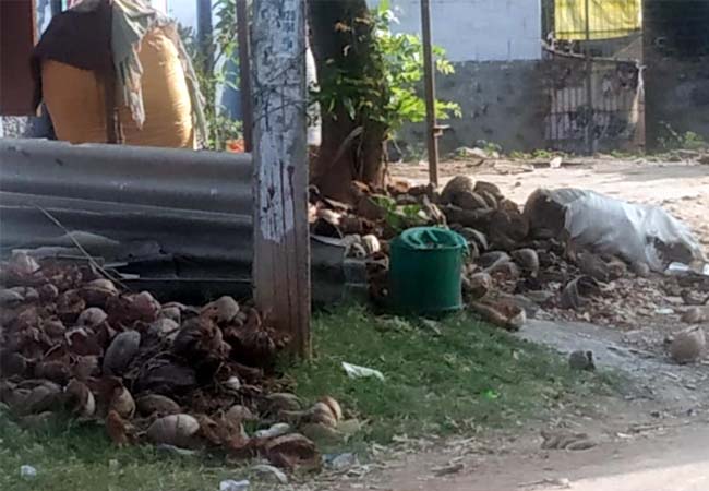 TENKASI DISTRICT DENGUE MOSQUITO PEOPLES HOSPITAL