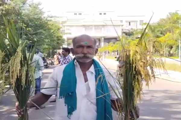 Karur collector office farmer paddy issue