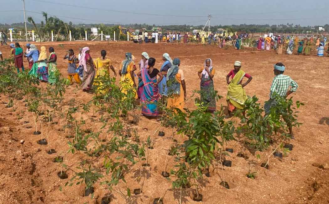 Minister Udhayanidhi stalin will participate world record planting 6 lakh saplings