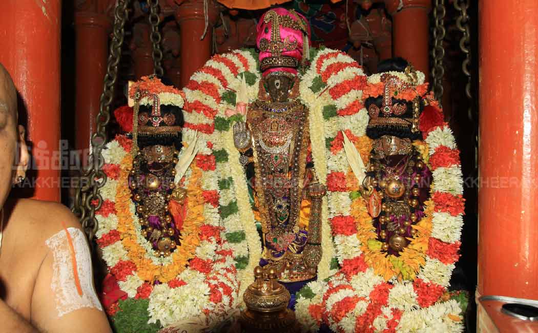 triblicane Parthasarathy Temple Brahmmoravam Festival
