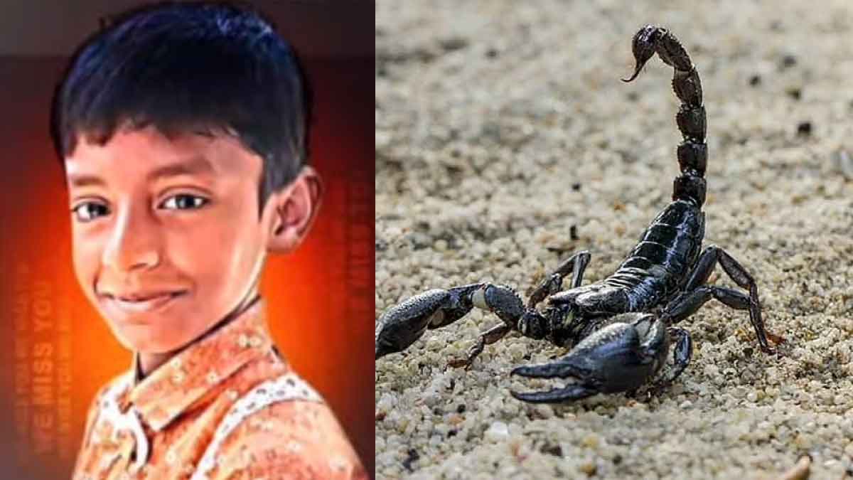 Negligence in scorpion stings; The village is plunged into grief due to the death of the boy
